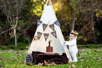 Where the Wild Things Are Cake Smash - Max Jay is One!